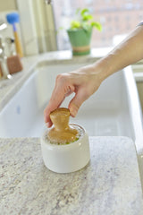 Bubble Up Soap Dispenser & Dish Brush Set